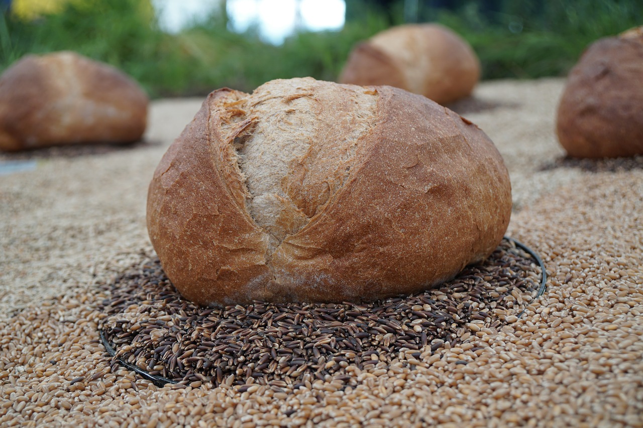 La materia prima en el pan ecológico