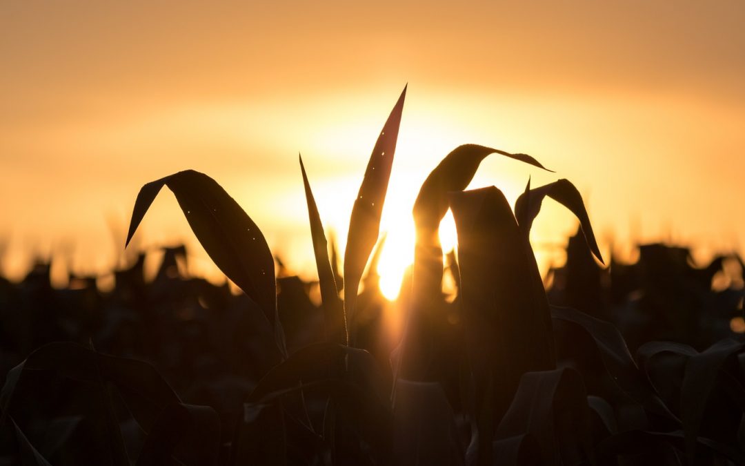 Garantías del sello ecológico de la UE