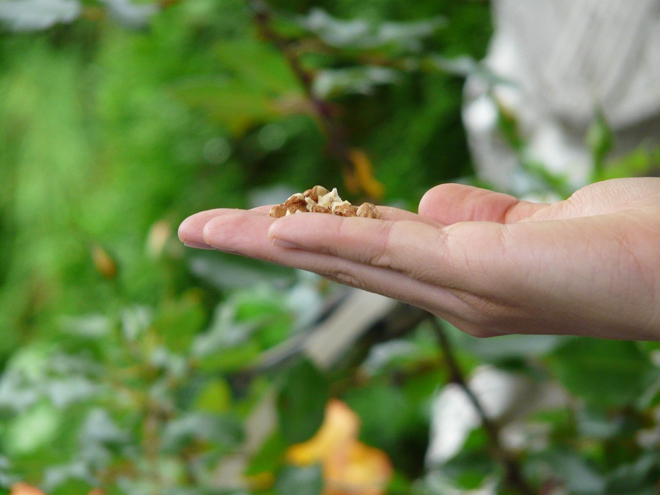 ¿Quién acredita la certificación ecológica?