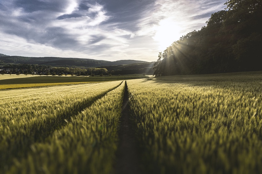 Cambio climático y agricultura ecológica