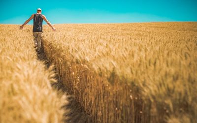 CLM ampliará el suelo destinado a la agricultura ecológica