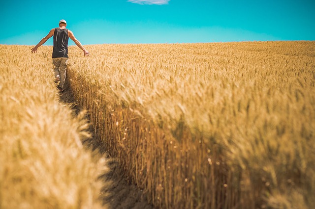 CLM ampliará el suelo destinado a la agricultura ecológica