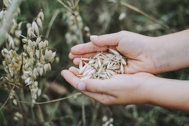 ¿Por qué elegir alimentos de cultivo ecológico?