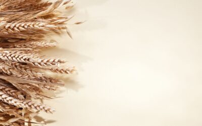 Agricultura de precisión